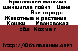 Британский мальчик шиншилла-пойнт › Цена ­ 5 000 - Все города Животные и растения » Кошки   . Ивановская обл.,Кохма г.